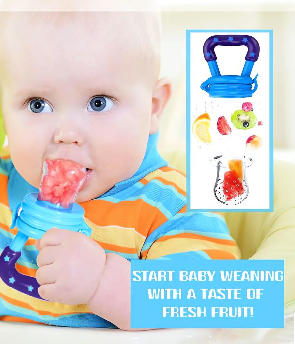 Baby Fruit Feeder Pacifier (Pack of 3)